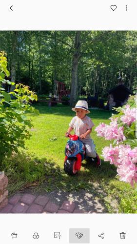 a little boy riding a toy scooter in the grass at Namelis nr 1 Adelės sodyba in Sturmai