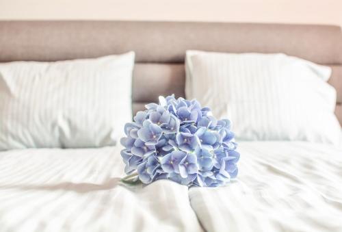 una flor azul sentada en la parte superior de una cama en Pärnu Rüütli Apartments, en Pärnu