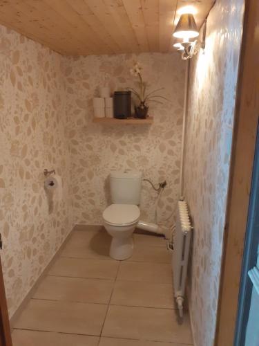a bathroom with a toilet in a room at Wenceslas Cobergher Penthouse in Boutersem
