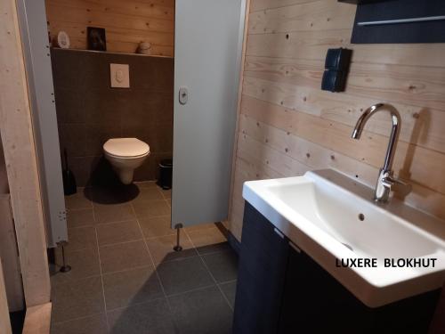 uma casa de banho com um lavatório e um WC em tHoefijzer Luxere Blokhutten - 5 personen em Zwiggelte