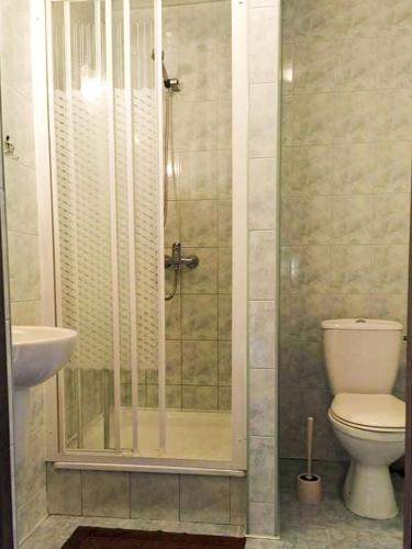 a bathroom with a shower with a toilet and a sink at Jeleni Skok in Cisna