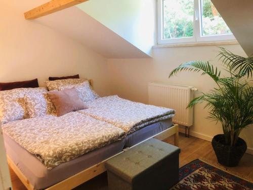 a bedroom with a bed and a potted plant at Ferienwohnung Attersee-Mondsee in Unterach am Attersee