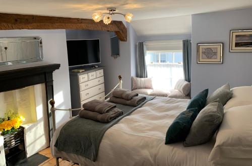 a bedroom with a bed with a fireplace and a television at Evangelisa in Lampeter