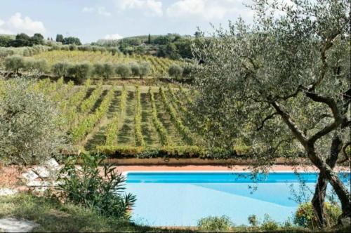 Villa Faltoiano – Photos 5