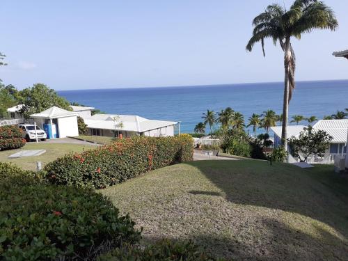 a house with a palm tree and the ocean at Studio Caliente vue panoramique Rocher du Diamant in Le Diamant