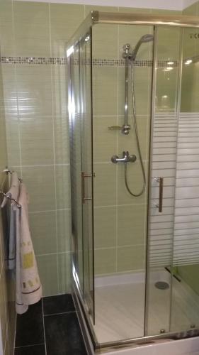 une douche avec une porte vitrée dans une salle de bain dans l'établissement La roque, à Figanières