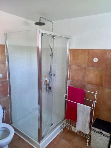 a shower stall in a bathroom with a red towel at Colibri Garden in Baie-Mahault
