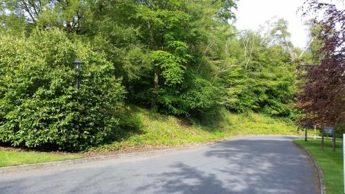 an empty road with trees on the side of a hill at New Forest Estate Lodges in Tyrrellspass