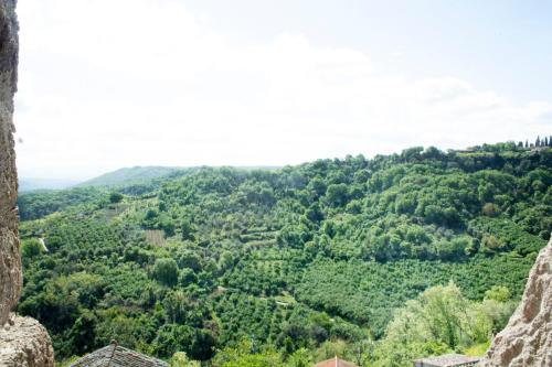 a view from the top of a hill with trees at Casa nella roccia in Bomarzo