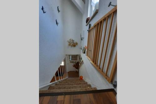 Fotografie z fotogalerie ubytování Ferienwohnung mit Elbwiesenblick v destinaci Lutherstadt Wittenberg