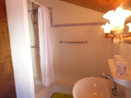 e bagno con lavandino, servizi igienici e doccia. di Chibau Berria-Aperçu mer et montagne à côté de la plage a Saint-Jean-de-Luz