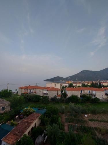 a town with houses and the ocean in the background at Matina Apartments Tyros in Tiros