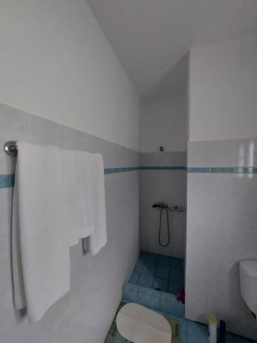 a bathroom with a toilet and a shower with towels at Matina Apartments Tyros in Tiros
