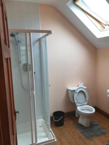 a bathroom with a toilet and a glass shower at Teach an Ghleanna in Glengarriff