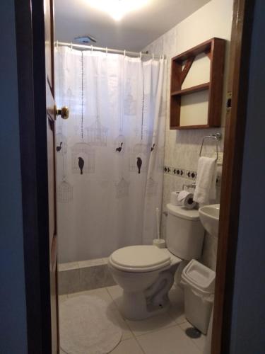 a bathroom with a toilet and a shower at Apu Lodge in Ollantaytambo