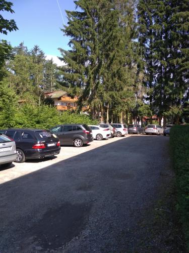 a group of cars parked on the side of a road at Wohnungen- Christopherhof MJ,Grafenwiesen in Grafenwiesen