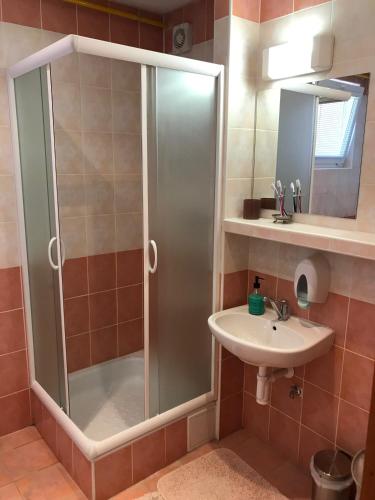 a bathroom with a shower and a sink at EMMA in Nová Lesná