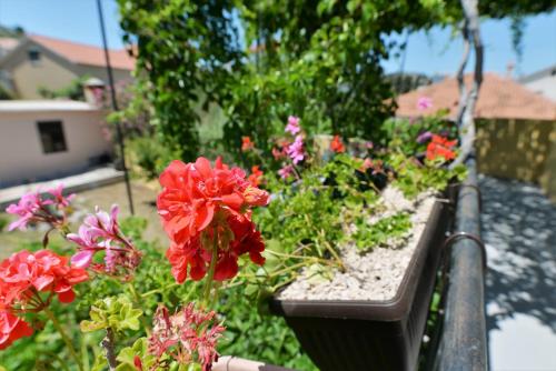 Fotografie z fotogalerie ubytování Beach apartment VAMI with sea view v Murteru