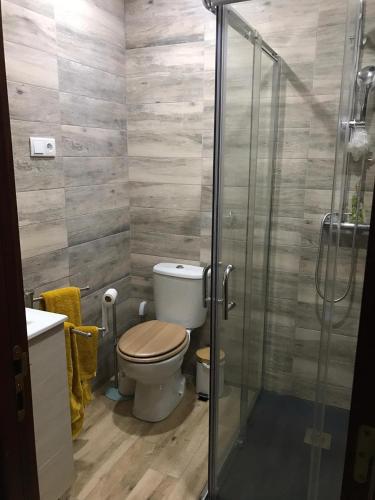 a bathroom with a toilet and a glass shower at Casa de Katiolo in Figueira de Castelo Rodrigo