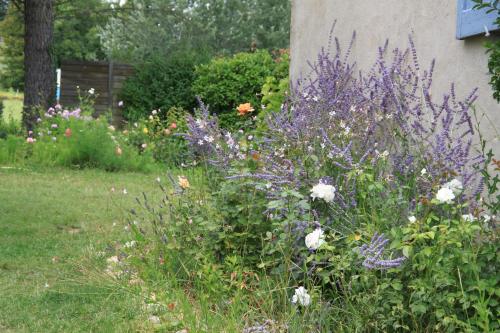 a garden with purple and white flowers in a yard at Le Mas des Pins in Mane