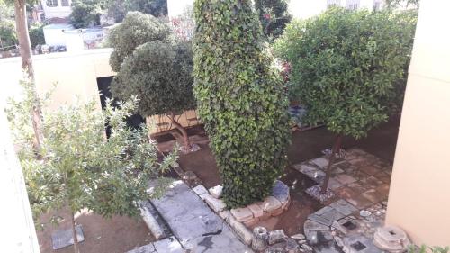 an outdoor garden with bushes and trees on a building at A Painter's House in Plaka in Athens