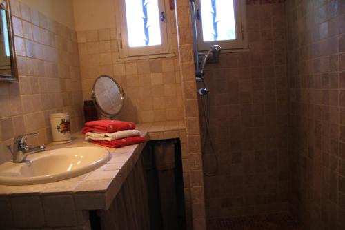 a bathroom with a sink and a shower at Le Mas des Pins in Mane
