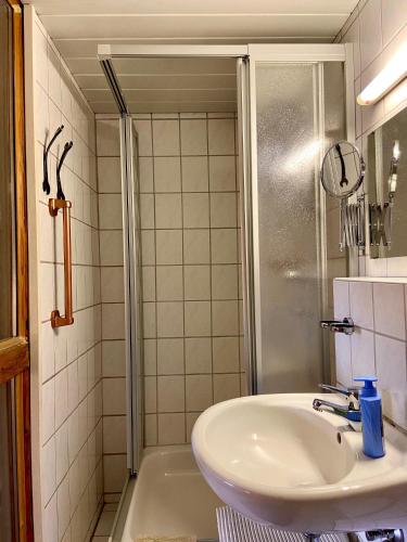 a bathroom with a sink and a shower at Ferienwohnung Kniep in Wernigerode