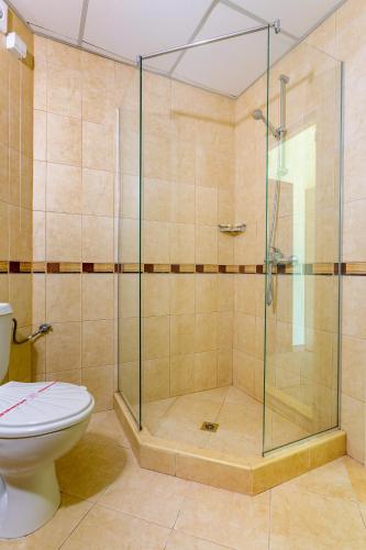 a bathroom with a shower and a toilet at Hotel Julia in Sveti Vlas