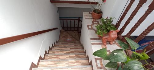 Imagen de la galería de San Javier 2, en Villa de Leyva