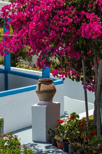 a vase sitting on a stand next to some flowers at Ancient Thera Apartments in Kamari
