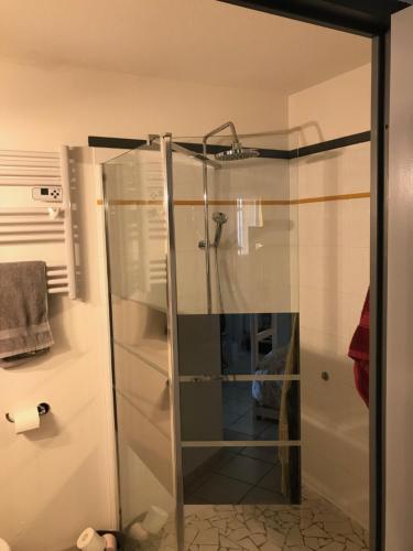 La salle de bains est pourvue d'une douche avec une porte en verre. dans l'établissement Village vacances Ardèche Odalys climatisé, à Salavas