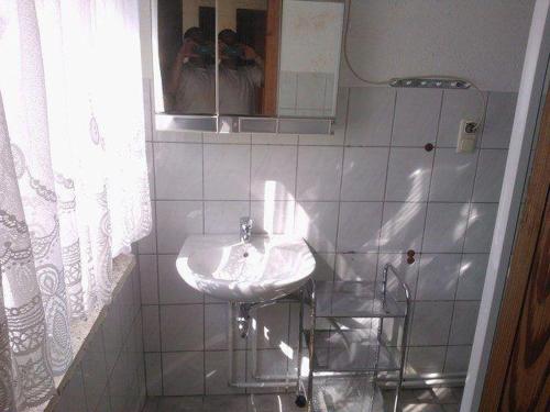 a bathroom with a sink and a mirror at kleines-Ferienhaus-nur-5-Auto-min-von-Binz in Lubkow