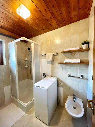 a bathroom with a shower and a toilet and a sink at Apartments Spirit of Mountains in Rasun di Sopra