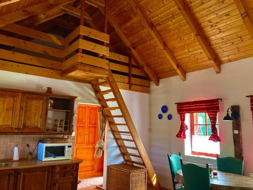 Cuina o zona de cuina de Körte Porta