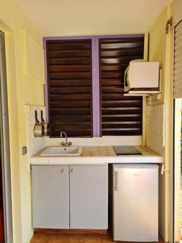 uma cozinha com um lavatório e um micro-ondas em Studio Résidence Tobago em Sainte-Anne