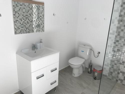 een badkamer met een toilet, een wastafel en een douche bij CasaRiana 5 in Eforie Sud