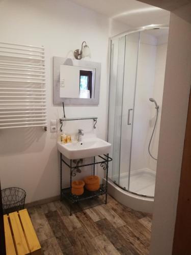 a bathroom with a sink and a shower at Willa Sielsko Anielsko in Szklarska Poręba