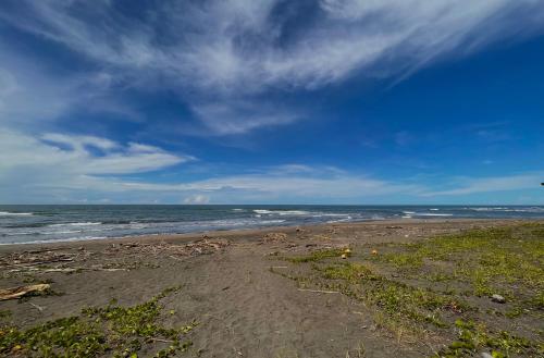 a sandy beach with the ocean in the background at Hotel El Icaco Tortuguero in Tortuguero
