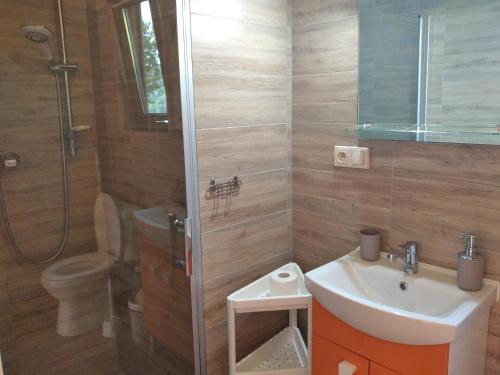 a bathroom with a sink and a toilet and a shower at Apartamenty i domki in Wołkowyja