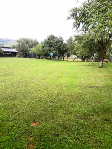Gallery image of Pensiunea Cristiana-Bucovina in Mănăstirea Humorului