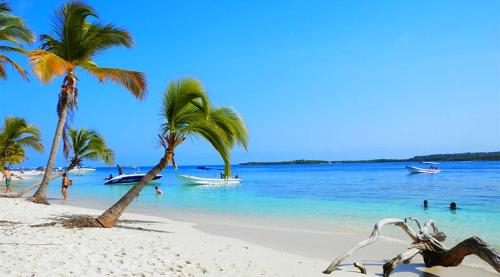 a beach with palm trees and boats in the water at Tucacas Beach Hotel in Tucacas