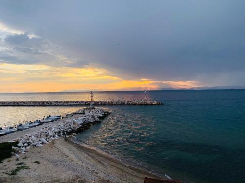 ชายหาดของอพาร์ตเมนต์หรือชายหาดที่อยู่ใกล้ ๆ