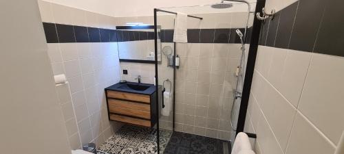 a bathroom with a shower and a sink at Studio de la plage - Mer, Terrasse et garage in Cagnes-sur-Mer