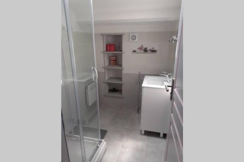 a bathroom with a shower and a sink at Gite La Saubolle à Marciac in Marciac
