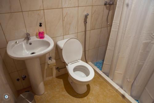 a bathroom with a toilet and a sink and a shower at Pousada Green Place in Ribeira Grande
