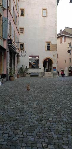 Imagen de la galería de Haus de Philosophe et compositeur Rousseau, en Biel