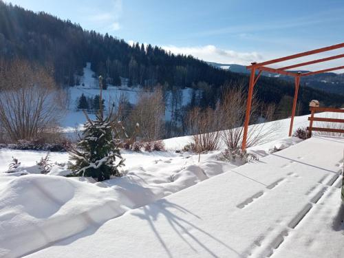a snow covered yard with a christmas tree in the snow at Apartment Brusinka in Kašperské Hory