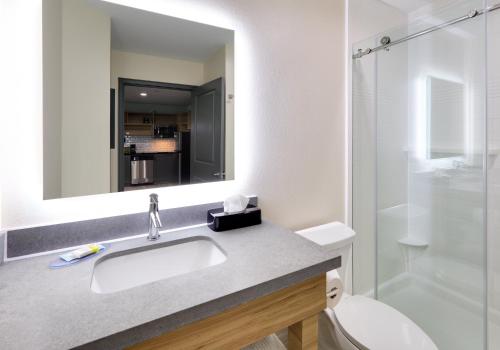 Candlewood Suites DFW West - Hurst, an IHG Hotel tesisinde bir banyo