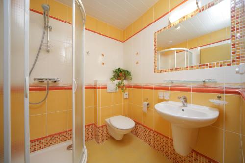 y baño con lavabo, aseo y ducha. en Elisabeth Pension, en Špindlerův Mlýn