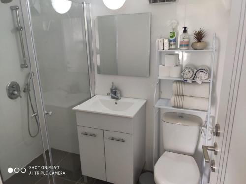 uma casa de banho com um WC, um chuveiro e um lavatório. em גני התניא em Safed